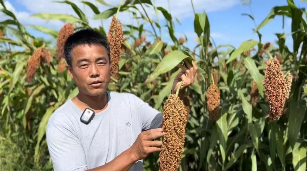 满贯捕鱼下载